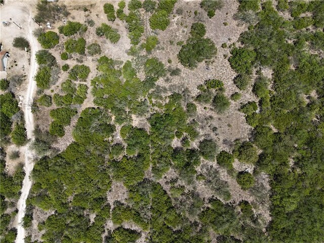134 County Road 3032, Orange Grove, TX 78372 - photo 3