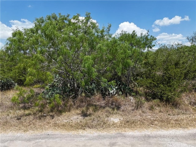 134 County Road 3032, Orange Grove, TX 78372 - photo 16