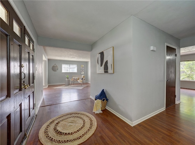 foyer featuring a healthy amount of sunlight and dark hardwood / wood-style floors