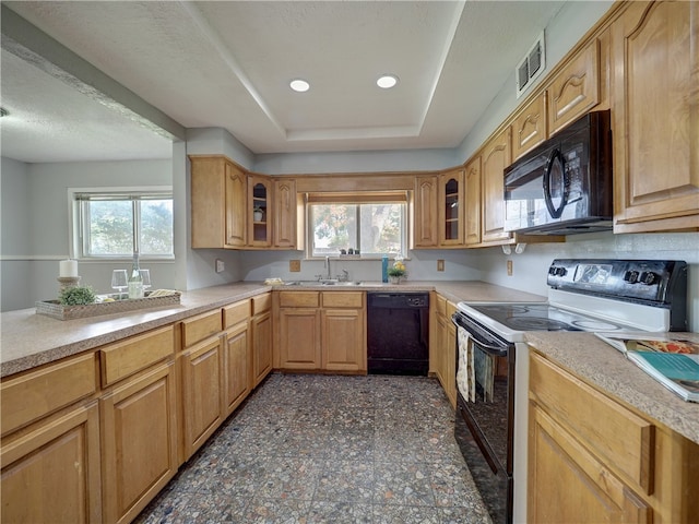 kitchen featuring plenty of natural light, black appliances, and sink