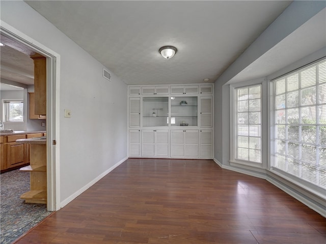 interior space with sink and dark hardwood / wood-style flooring