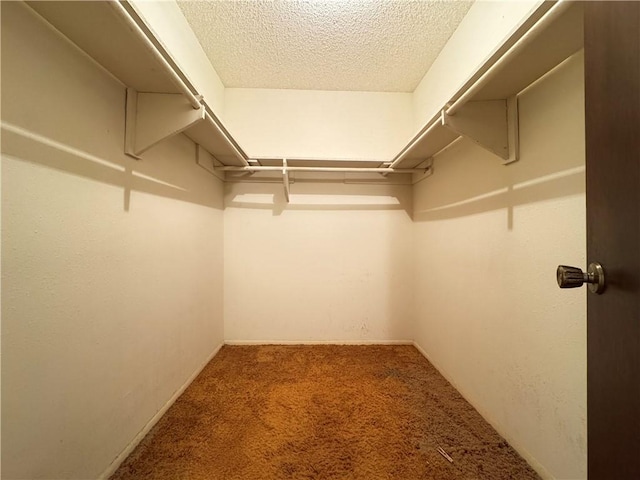 walk in closet with carpet floors