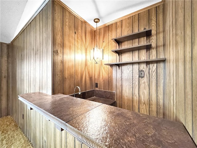 bar featuring indoor wet bar and wood walls