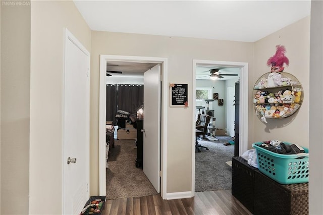 corridor featuring dark hardwood / wood-style floors