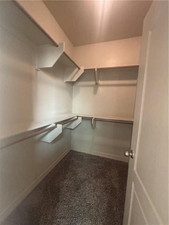 3101 Adak Ct, Corpus Christi, TX 78414 - walk in closet with carpet flooring