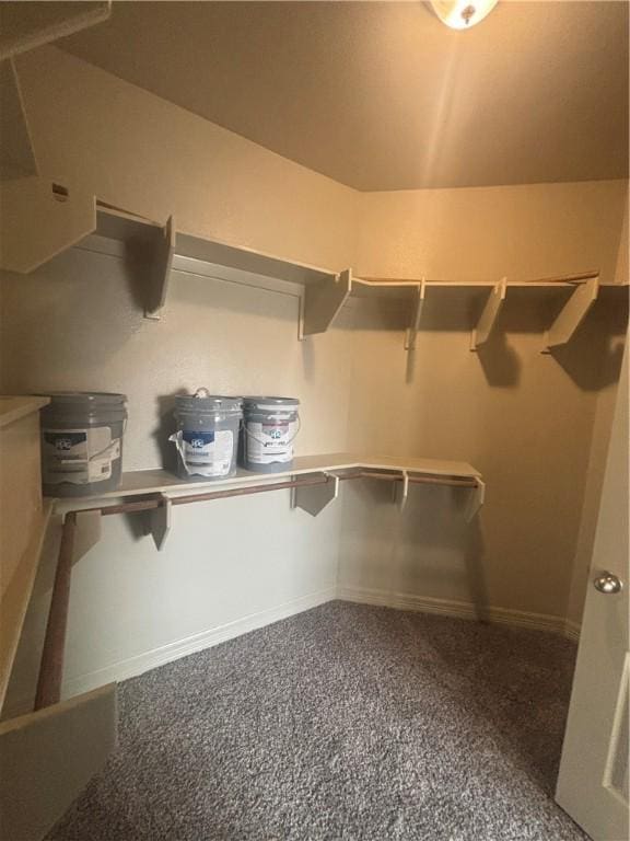 3101 Adak Ct, Corpus Christi, TX 78414 - walk in closet featuring carpet