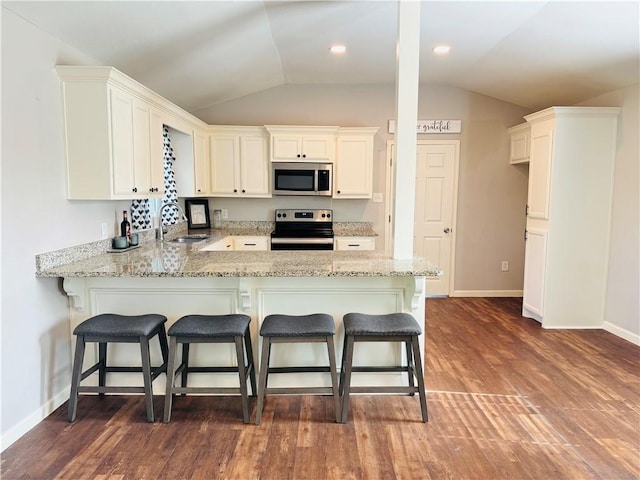 2514 Dwyer Dr, Corpus Christi, TX 78410 - kitchen featuring stainless steel appliances, lofted ceiling, a peninsula, light stone countertops, and wood finished floors