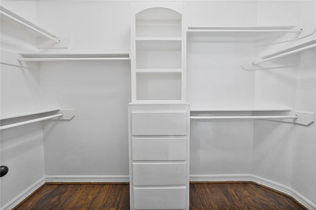 2633 Date Palm Dr, Corpus Christi, TX 78418 - walk in closet with dark wood finished floors