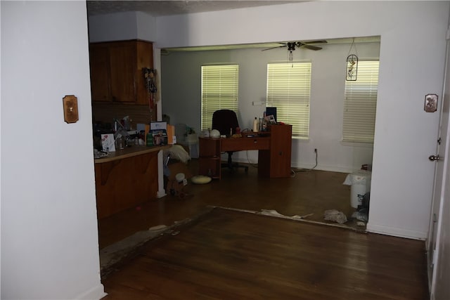 office featuring ceiling fan, a textured ceiling, and dark hardwood / wood-style flooring