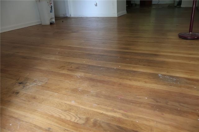 interior details featuring wood-type flooring