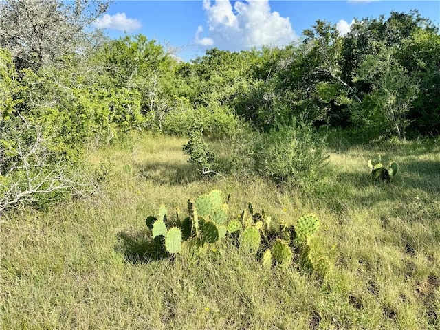0 County Road 104, Normanna, TX 78142 - photo 32