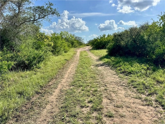 0 County Road 104, Normanna, TX 78142 - photo 13