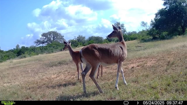 0 County Road 104, Normanna, TX 78142 - photo 6