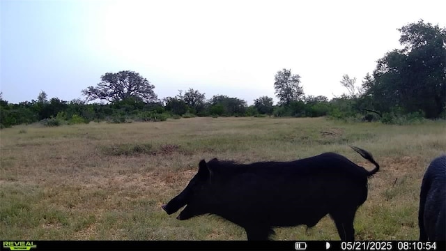 0 County Road 104, Normanna, TX 78142 - photo 8