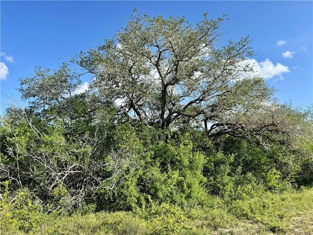 0 County Road 104, Normanna, TX 78142 - photo 19