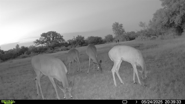 0 County Road 104, Normanna, TX 78142 - photo 18