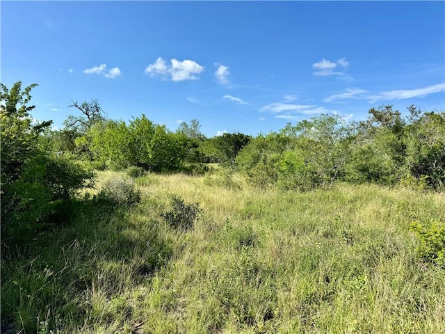 0 County Road 104, Normanna, TX 78142 - photo 11