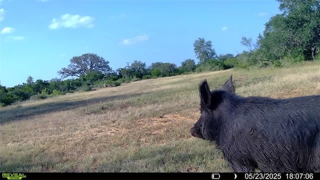 0 County Road 104, Normanna, TX 78142 - photo 22