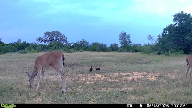 0 County Road 104, Normanna, TX 78142 - photo 26