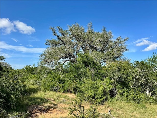 0 County Road 104, Normanna, TX 78142 - photo 25