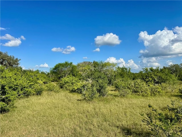 0 County Road 104, Normanna, TX 78142 - photo 27