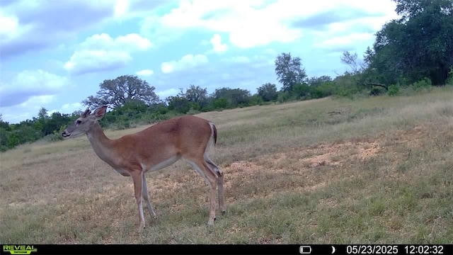 0 County Road 104, Normanna, TX 78142 - photo 20