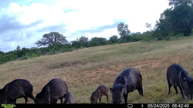 0 County Road 104, Normanna, TX 78142 - photo 4