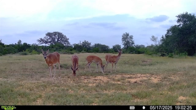 0 County Road 104, Normanna, TX 78142 - photo 37