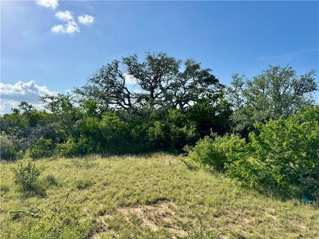 0 County Road 104, Normanna, TX 78142 - photo 21