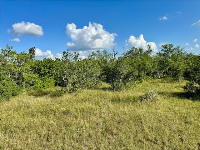 0 County Road 104, Normanna, TX 78142 - photo 29
