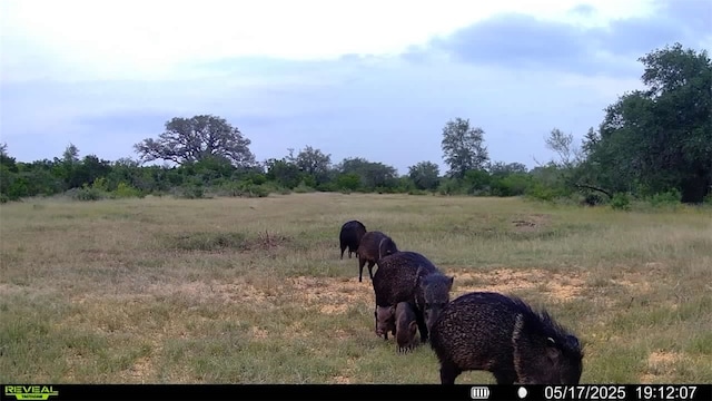0 County Road 104, Normanna, TX 78142 - photo 28