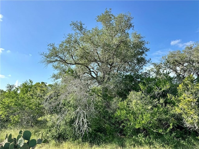 0 County Road 104, Normanna, TX 78142 - photo 31
