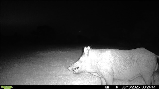 0 County Road 104, Normanna, TX 78142 - photo 33