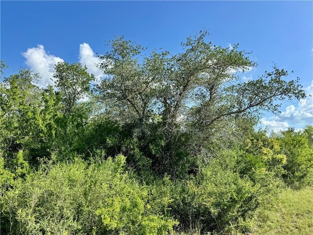 0 County Road 104, Normanna, TX 78142 - photo 15