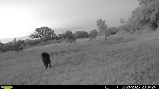 0 County Road 104, Normanna, TX 78142 - photo 14