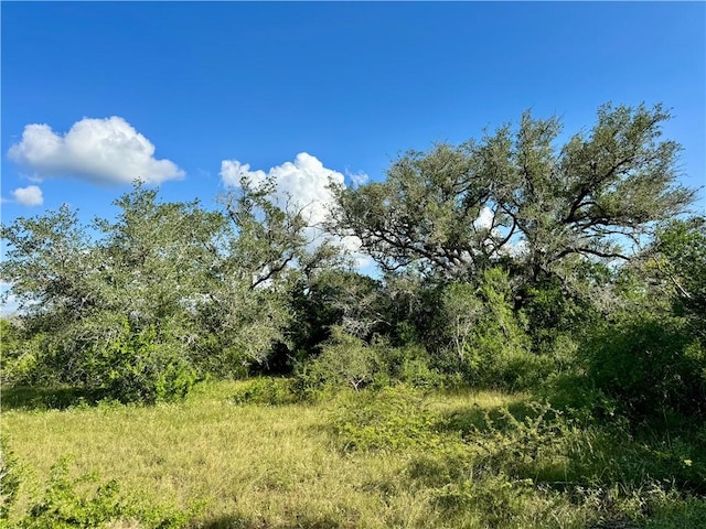 0 County Road 104, Normanna, TX 78142 - photo 23