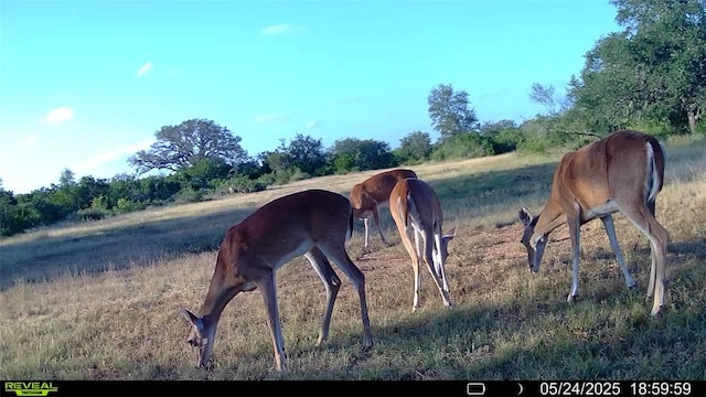 0 County Road 104, Normanna, TX 78142 - photo 2