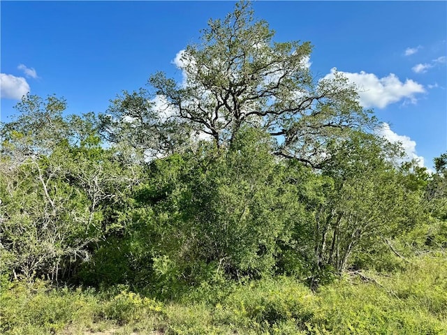 0 County Road 104, Normanna, TX 78142 - photo 17