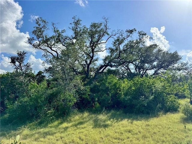 0 County Road 104, Normanna, TX 78142 - photo 34