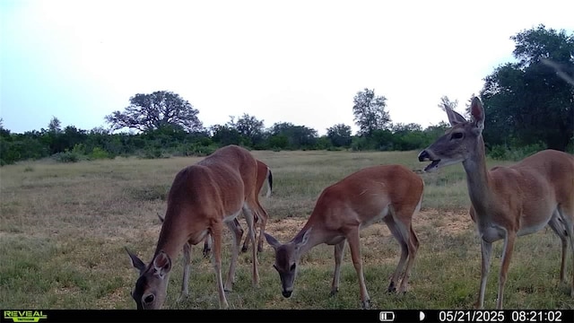 0 County Road 104, Normanna, TX 78142 - photo 35