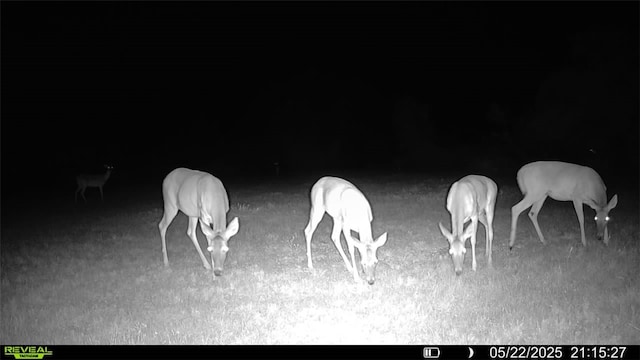 0 County Road 104, Normanna, TX 78142 - photo 24