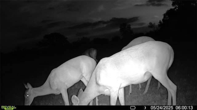 0 County Road 104, Normanna, TX 78142 - photo 12