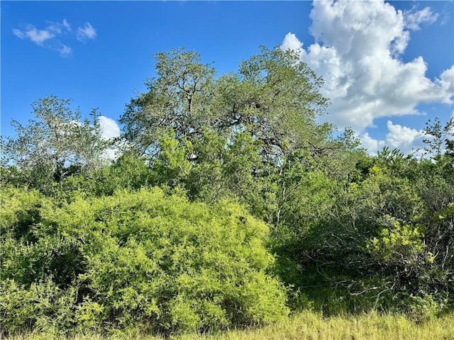 0 County Road 104, Normanna, TX 78142 - photo 38