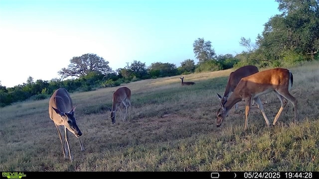 0 County Road 104, Normanna, TX 78142 - photo 16
