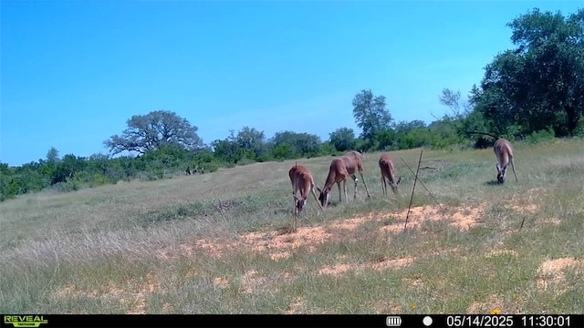 0 County Road 104, Normanna, TX 78142 - photo 30