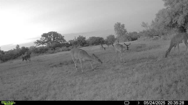 0 County Road 104, Normanna, TX 78142 - photo 10