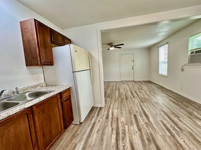 kitchen featuring light hardwood / wood-style floors, ceiling fan, sink, and white fridge