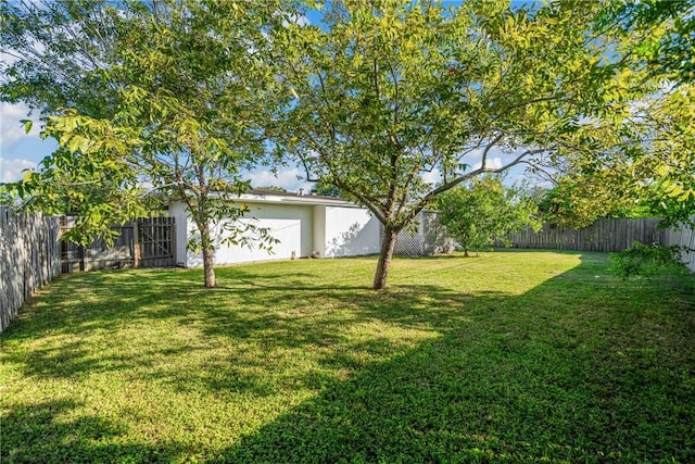 4613 Marks Dr, Corpus Christi, TX 78411 - view of fenced backyard