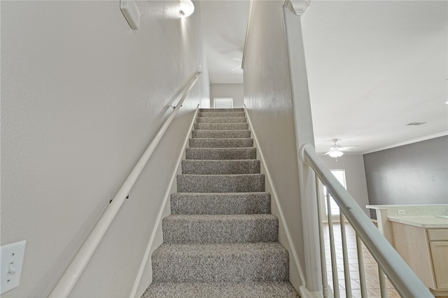 stairway with ceiling fan, crown molding, and carpet