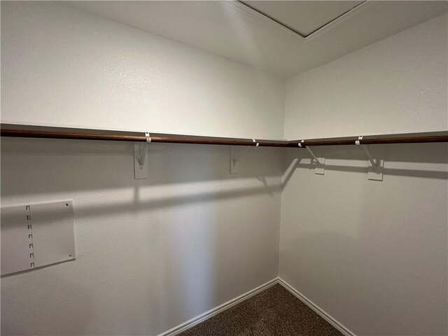 7302 Wilder Ln, Corpus Christi, TX 78414 - walk in closet featuring dark carpet